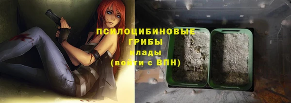 ГАЛЛЮЦИНОГЕННЫЕ ГРИБЫ Абдулино